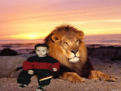 hamza et sa lion